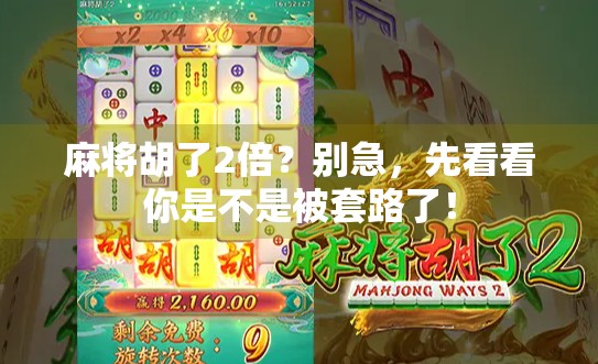 麻将胡了2倍?别急,先看看你是不是被套路了! 麻将胡了2倍?别急,先看看你是不是被套路了!