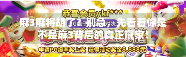 麻3麻将胡了？别急，先看看你是不是麻3背后的真正赢家！
