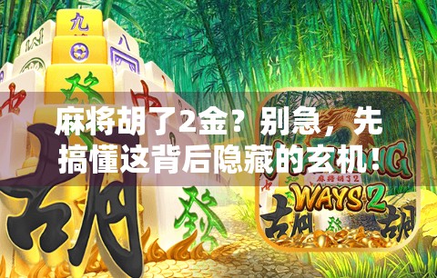 麻将胡了2金？别急，先搞懂这背后隐藏的玄机！