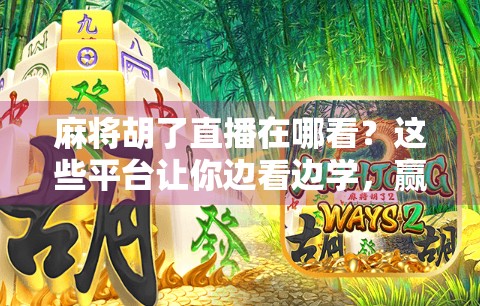 麻将胡了直播在哪看？这些平台让你边看边学，赢麻不是梦！